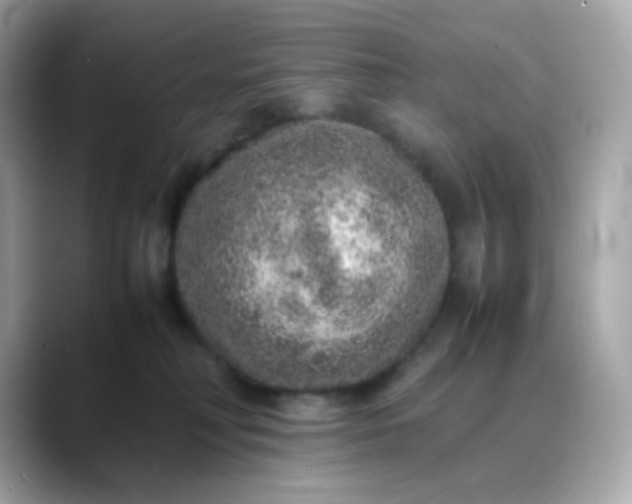X0000088420230200706051217