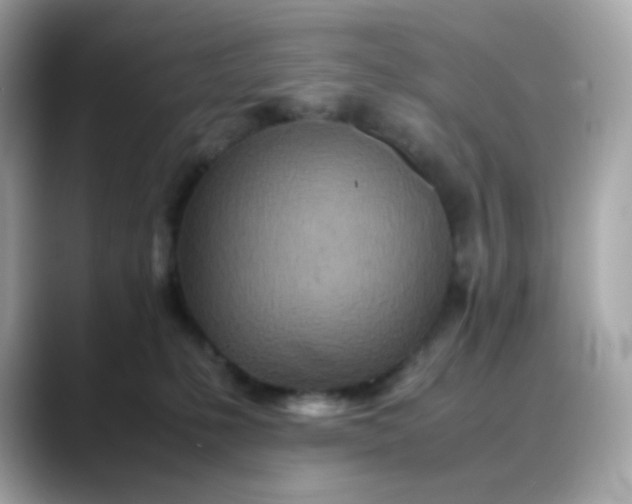 X0000088420231200706051217