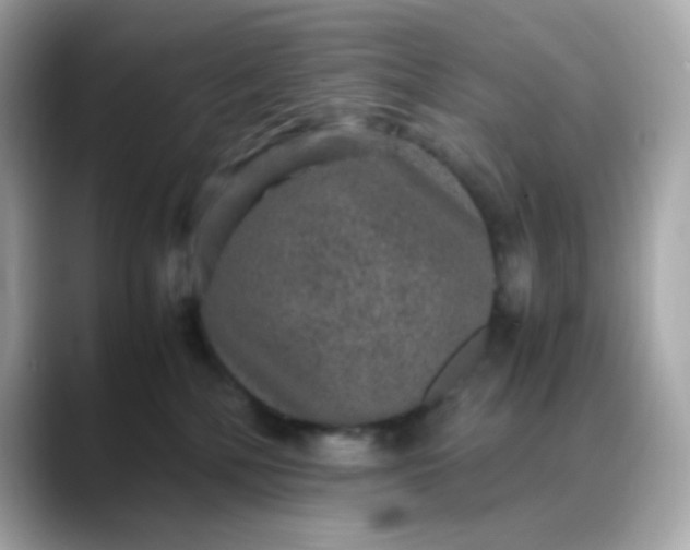 X0000088420232200706051217