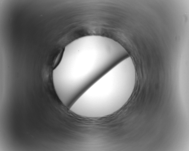X0000088420233200706051217