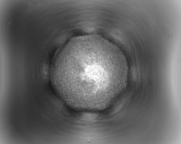 X0000088420234200706051217