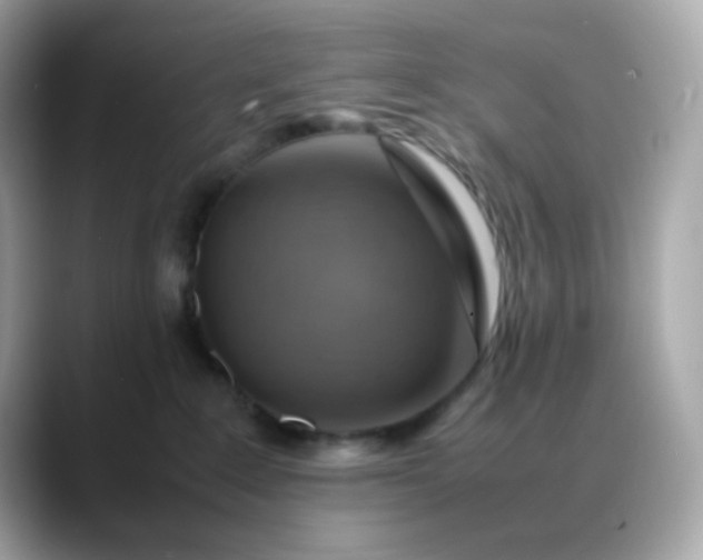 X0000088420235200706051217