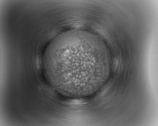 X0000088420236200706051217