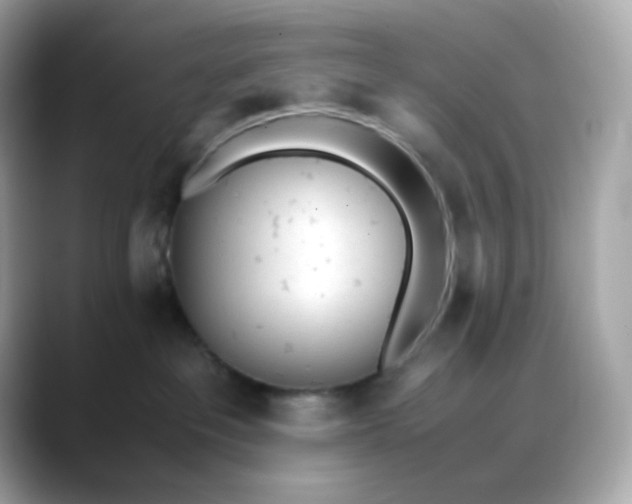 X0000088420237200706051217