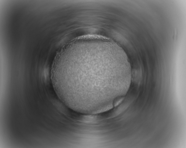 X0000088420238200706051217