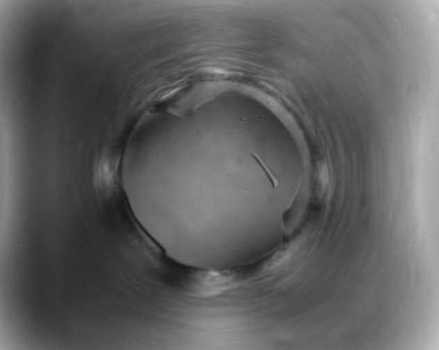 X0000088420239200706051217