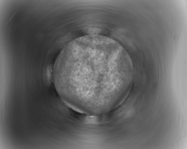 X0000088420240200706051217