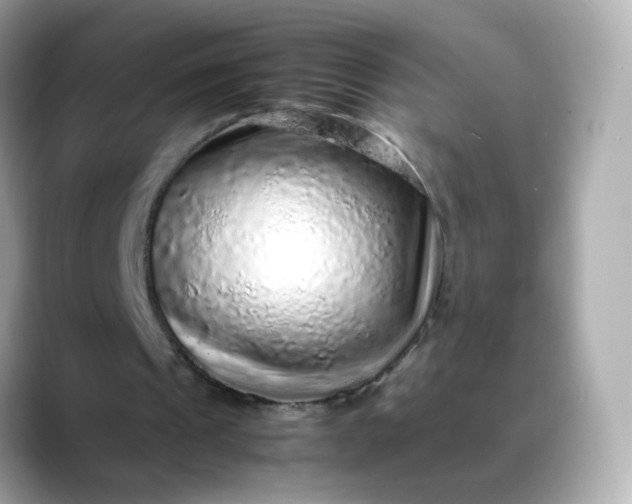 X0000088420241200706051216