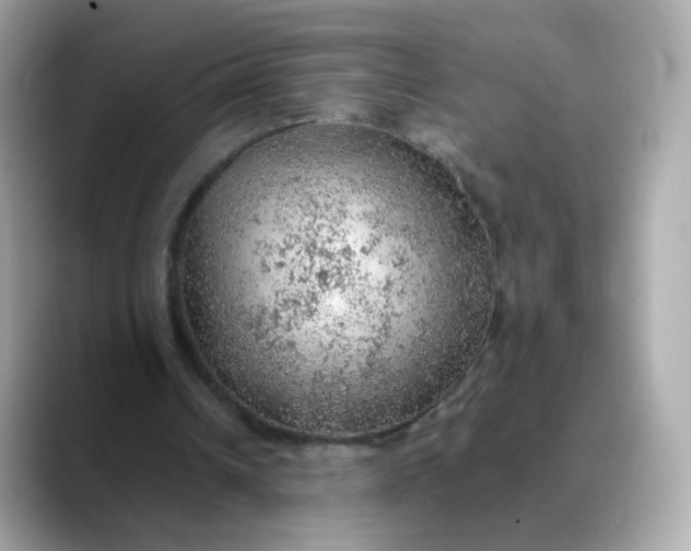 X0000088420242200706051216