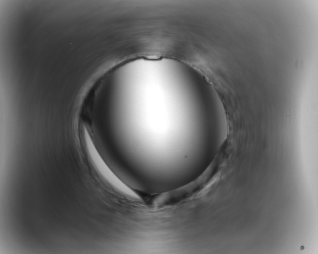 X0000088420244200706051217