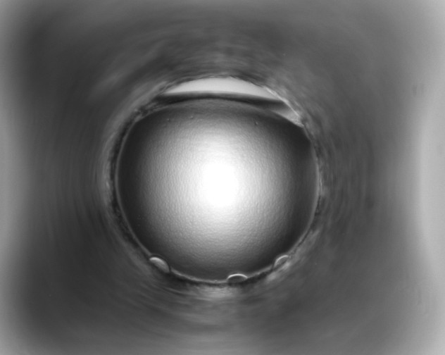 X0000088420245200706051217