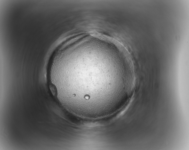 X0000088420246200706051217
