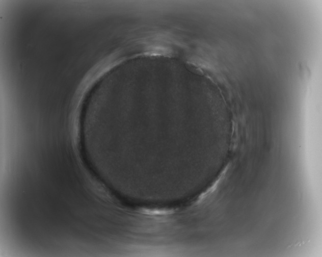 X0000088420247200706051217