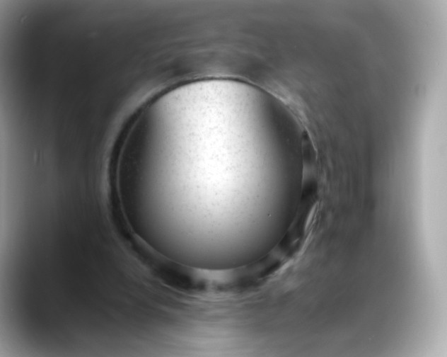 X0000088420248200706051217