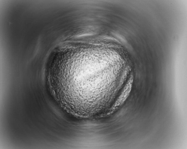 X0000088420250200706051217
