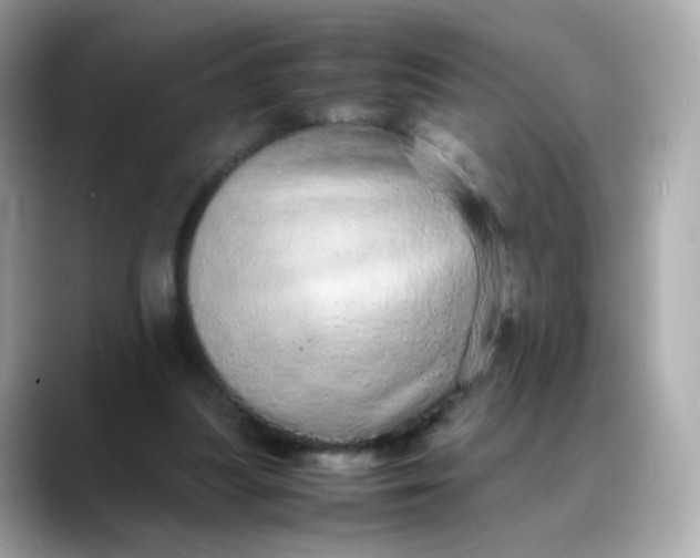 X0000088420251200706051217