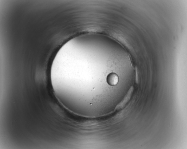 X0000088420252200706051217