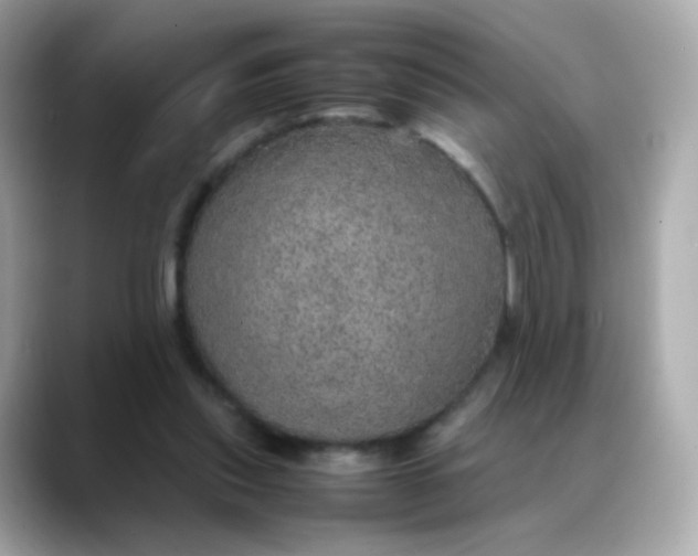 X0000088420253200706051217