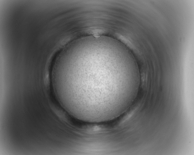 X0000088420254200706051217