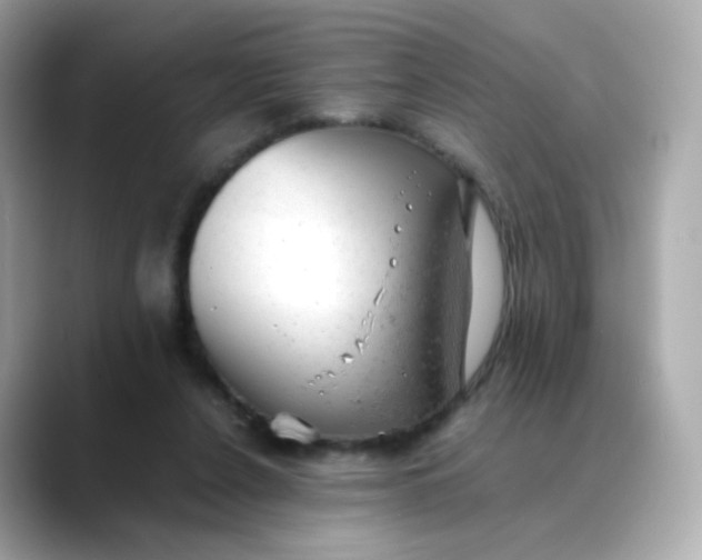 X0000088420256200706051217