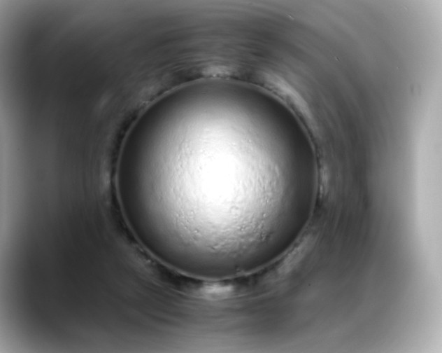 X0000088420257200706051217