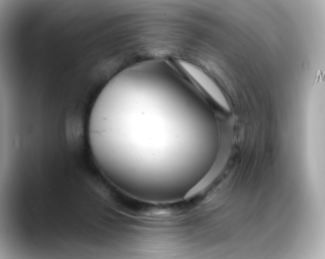X0000088420260200706051217