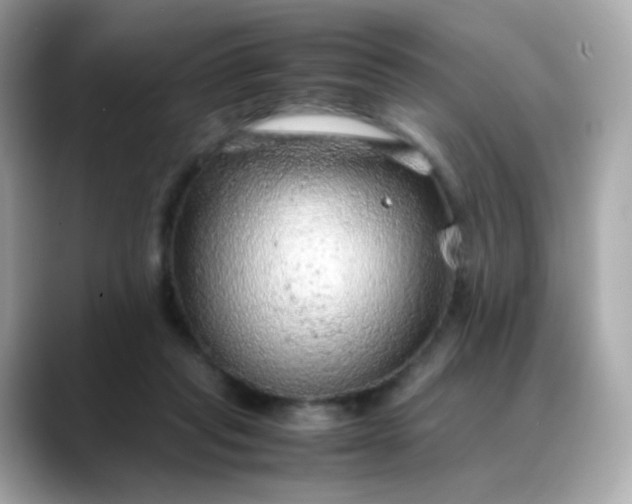 X0000088420261200706051217