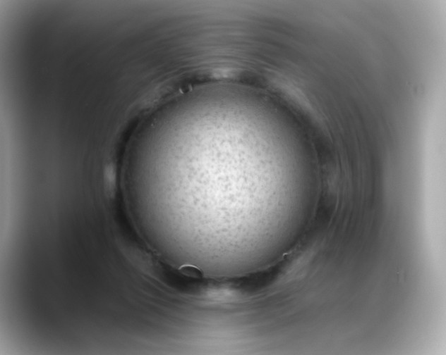 X0000088420262200706051217