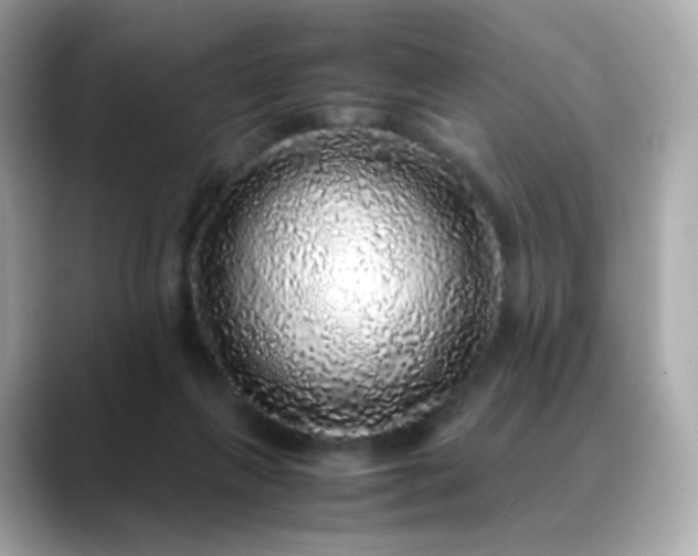 X0000088420263200706051217