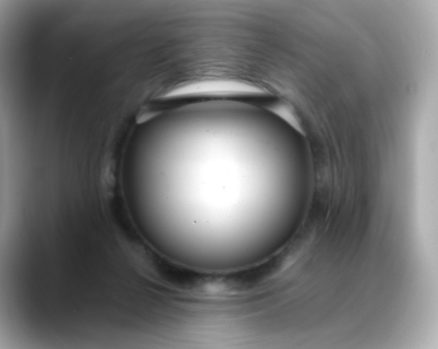 X0000088420264200706051217