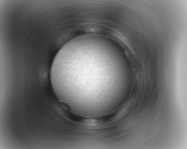 X0000088420265200706051217