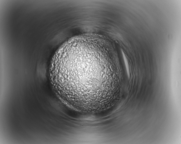 X0000088420266200706051217