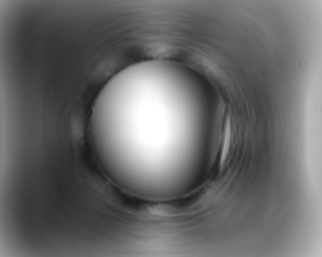 X0000088420268200706051217