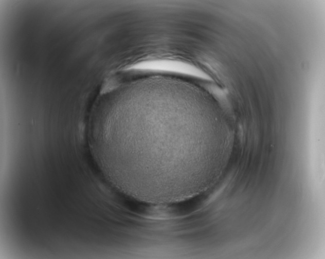 X0000088420269200706051217
