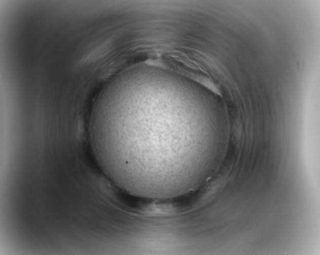 X0000088420270200706051217