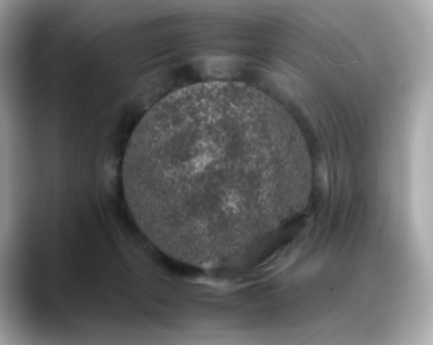 X0000088420271200706051217