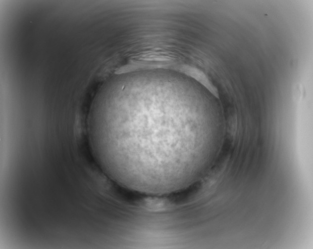 X0000088420272200706051217