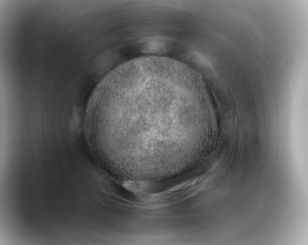 X0000088420273200706051217