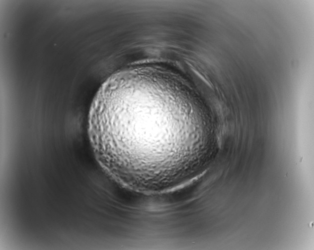 X0000088420275200706051217