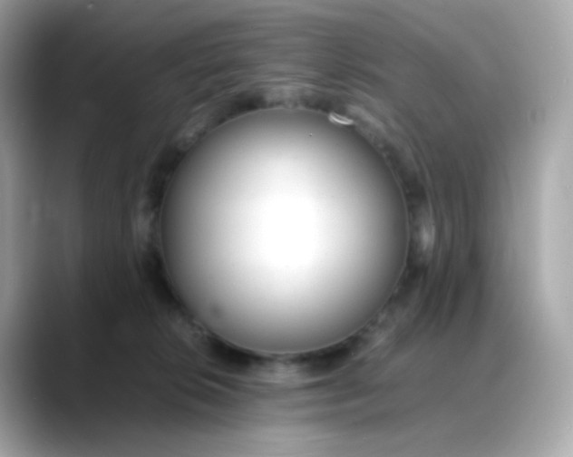 X0000088420276200706051217