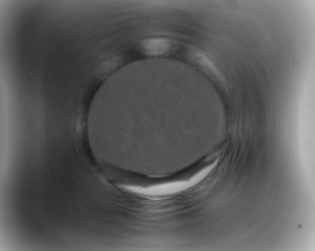 X0000088420277200706051217