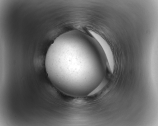 X0000088420280200706051217