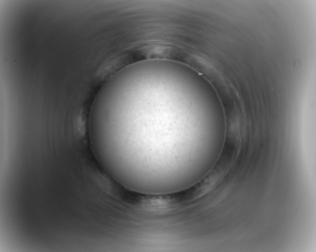 X0000088420282200706051217