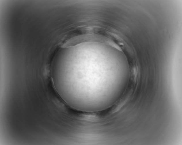 X0000088420284200706051217
