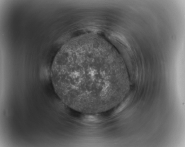 X0000088420285200706051217