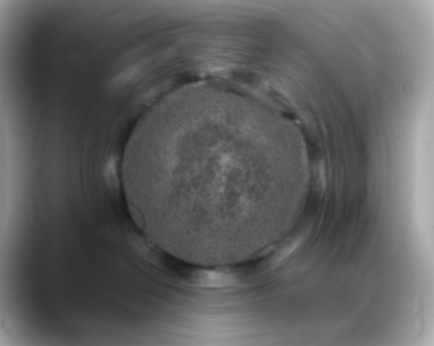 X0000088420286200706051217