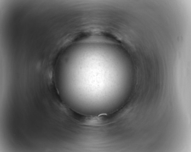 X0000088420288200706051217