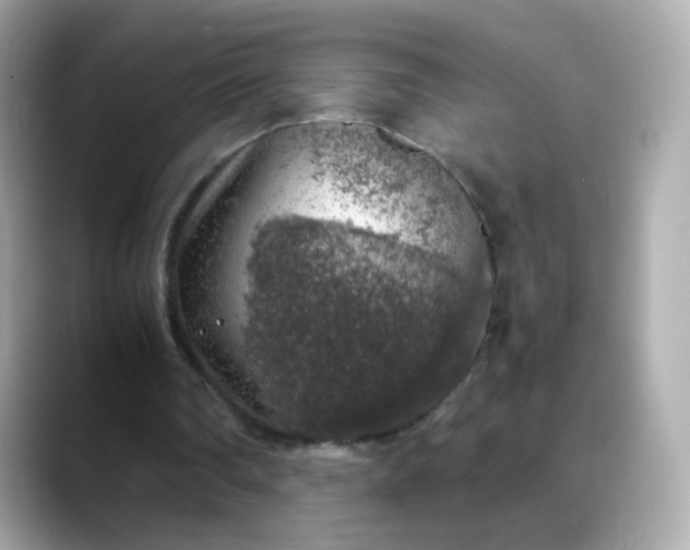 X0000088420290200706051216