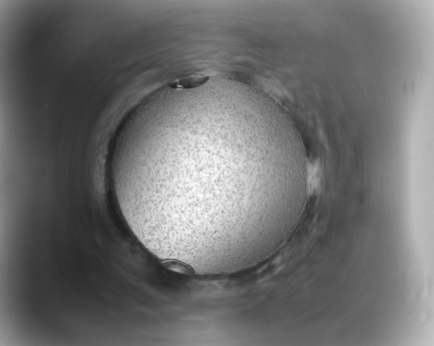 X0000088420291200706051216