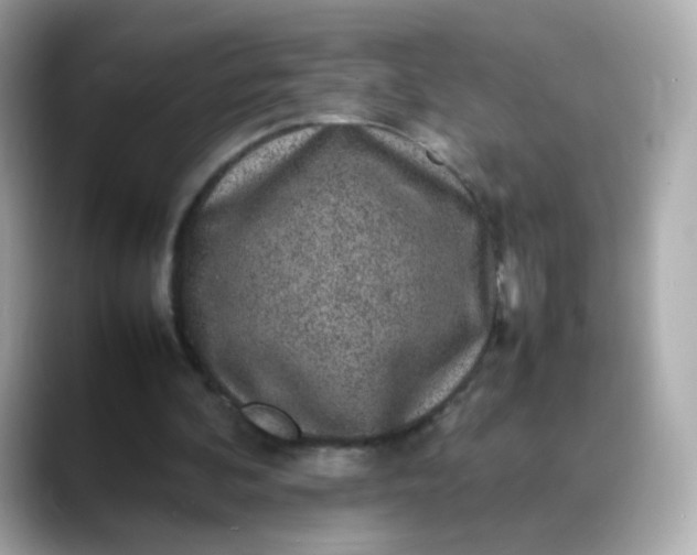 X0000088420292200706051216